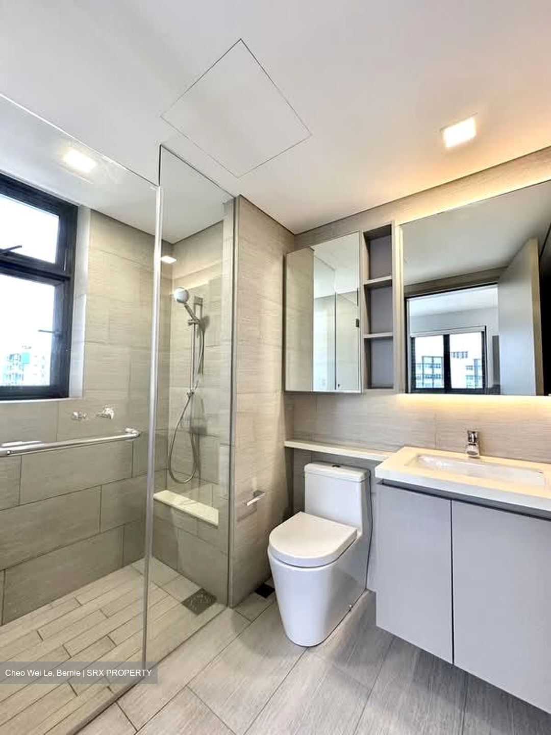 The Criterion (D27), Condominium #577348121